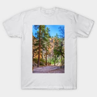 Lick Wash Trail Hike T-Shirt